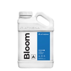 BLOOM A ATHENA