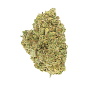 GELATO HYDRO 3GR LIVE BIO HEMP