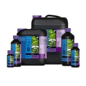 B'CUZZ HYDRO NUTRITION A ATAMI