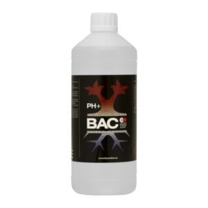 PH UP BAC