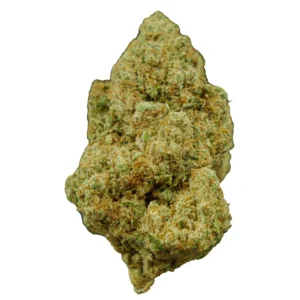 AMNESIA HAZE 3GR BLOOM S.R.L