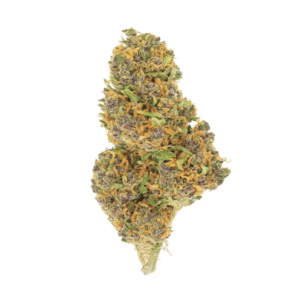 CATRINA INDOOR+ 3GR LIVE BIO HEMP