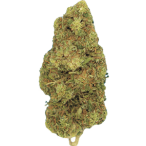 COOKIES GH+ 3GR LIVE BIO HEMP
