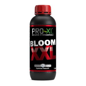 BLOOM XXL PRO-XL